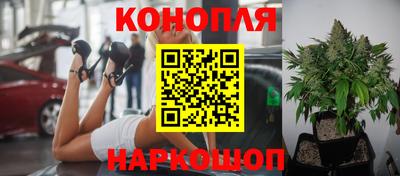 гашик Сланцы