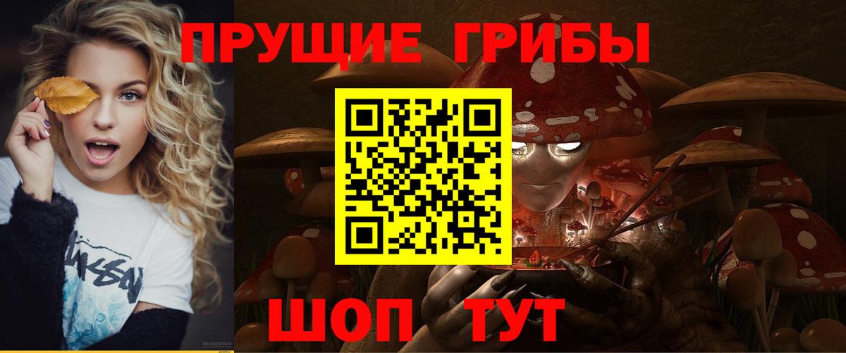 Галлюциногенные грибы прущие грибы Обь