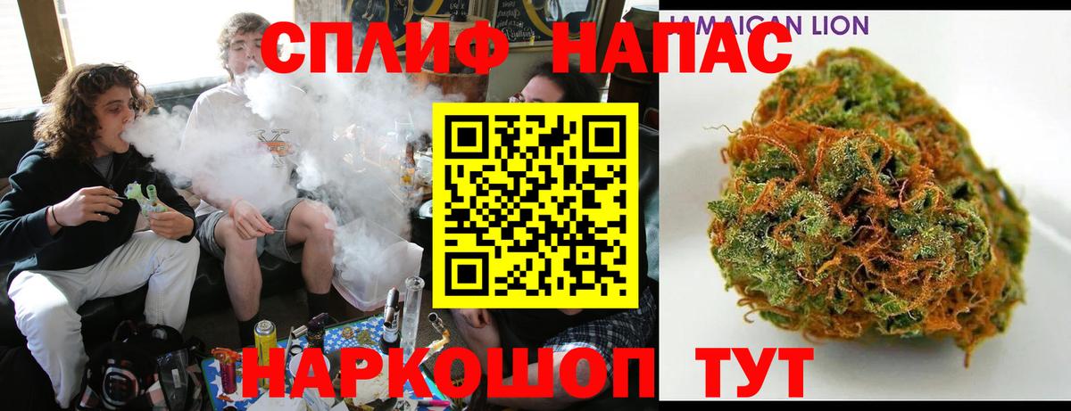 МАРИХУАНА гибрид Обь